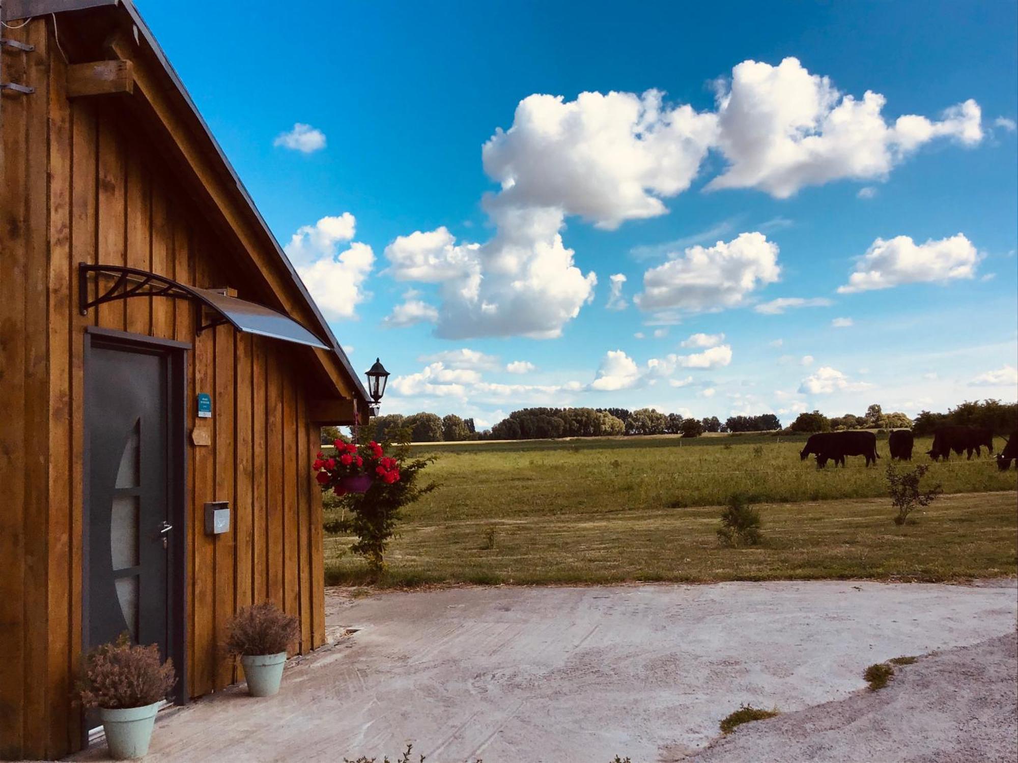 Le Chalet De La Ferme Du Tertre Villers-au-Tertre Номер фото